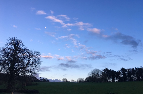 Any Witches Here? Part 7.