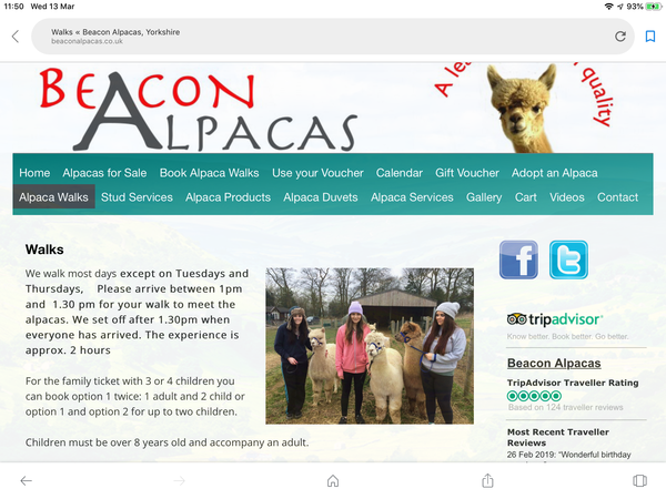 Alpaca/Llama Walking