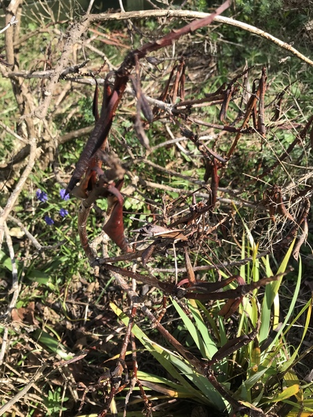 What is this?