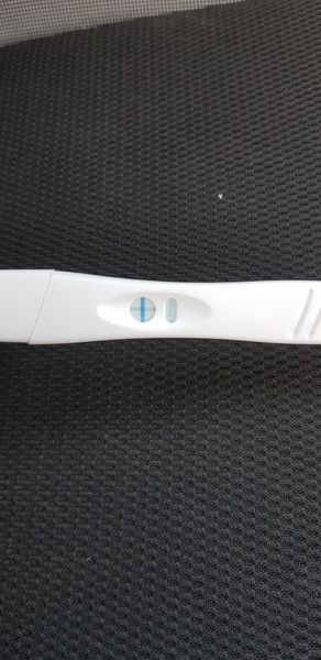 Due November 2019 Continued