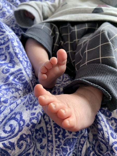 Raising Boys