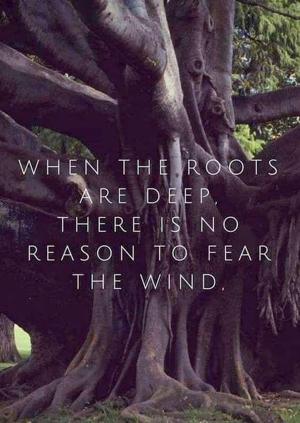 Any Witches Here? Part 7.