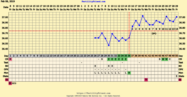 First Pregnancy Missed Miscarriage
