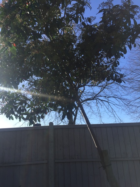 Neighbours have no blinds