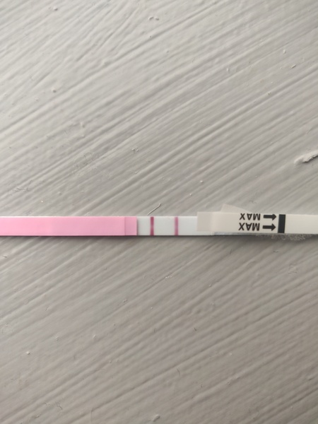 Positive opks and intercourse please help