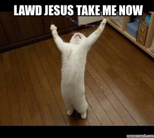 Westminstenders: And I neeeedddd moreeeee timeeeeee!