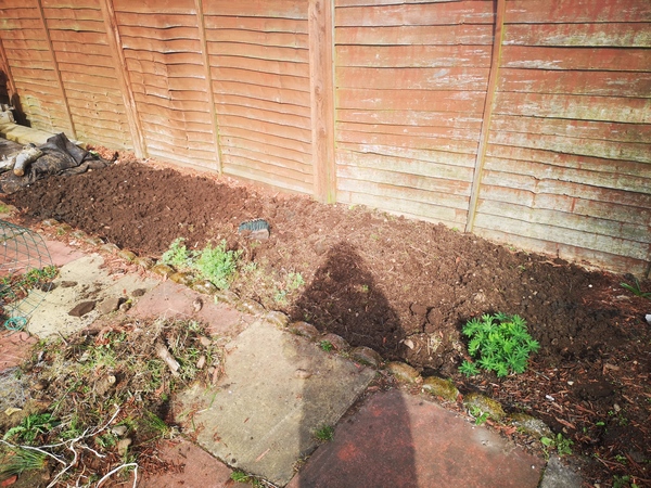 What shall I plant here? (pic included)