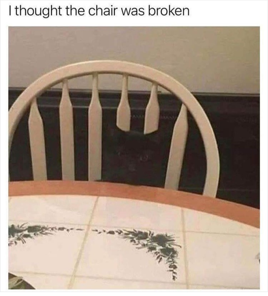 Please share your funny memes or pictures.