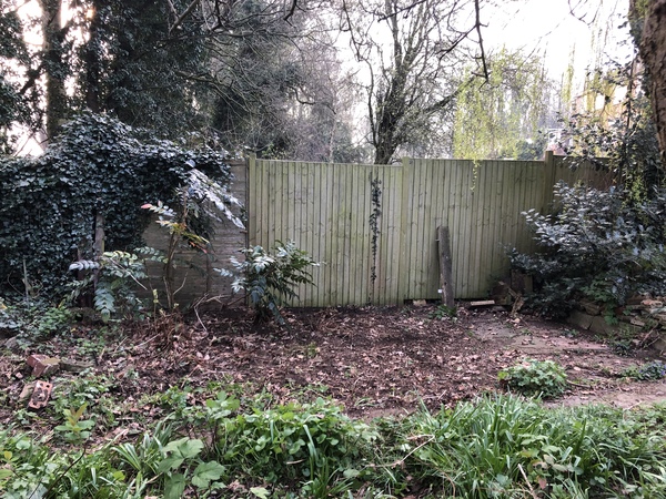 What would you do with this patch of garden?