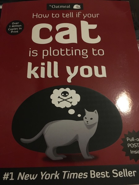 To be really creeped out by my cat?