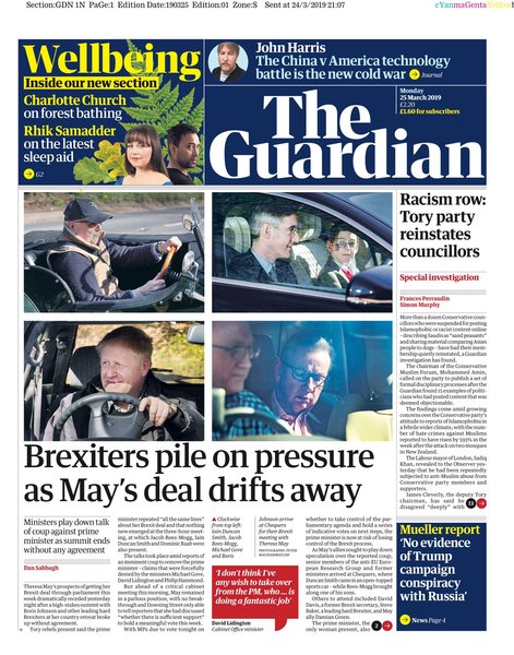 Westminstenders: Pragmatism versus Purity