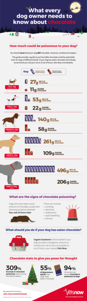 My dog ate half a chocolate brownie, will he be OK?