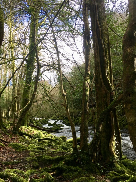 Any Witches Here? Part 7.