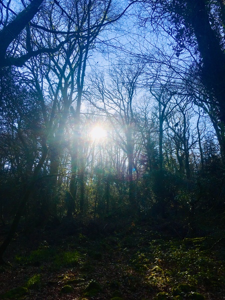 Any Witches Here? Part 7.