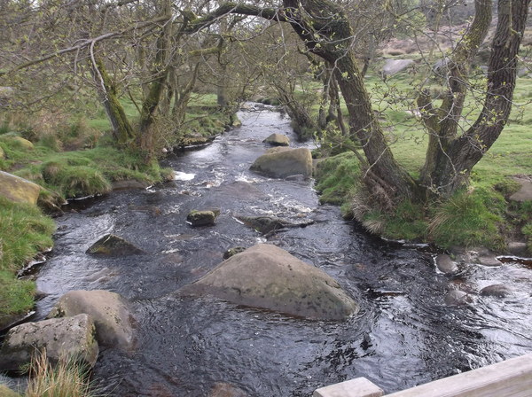 Any Witches Here? Part 7.