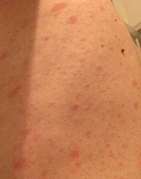 September 2019 babies - thread #4