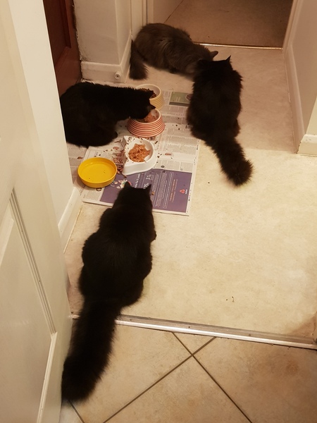 We have 2 and I want another 2