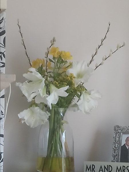 Anyone have a Freddie's Flowers code?