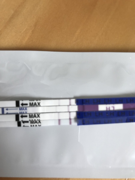 5dpo