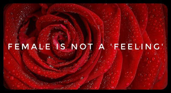 Share your favourite Gender Critical memes here!