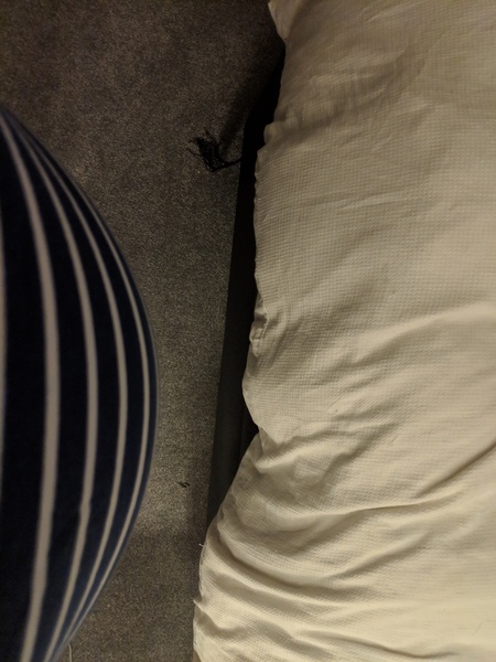 September 2019 Babies - Thread #3