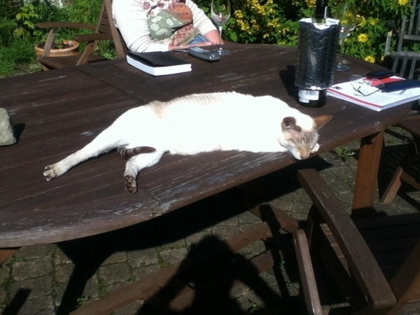 Westministenders: The DisUnited Kingdom of Remaina