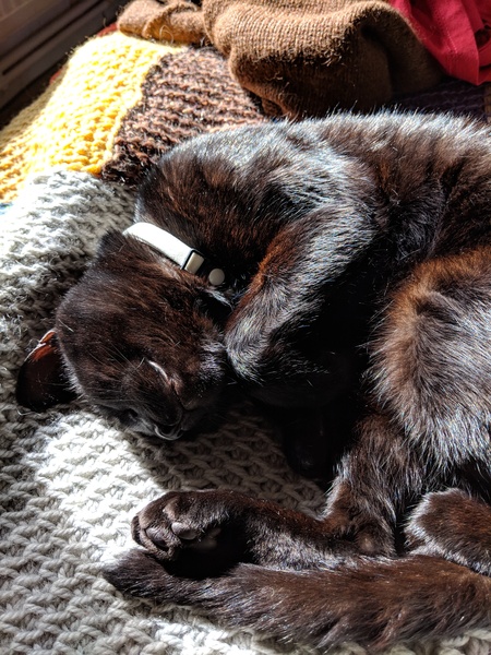 Westminstenders: And I neeeedddd moreeeee timeeeeee!