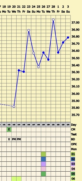 BBT chart