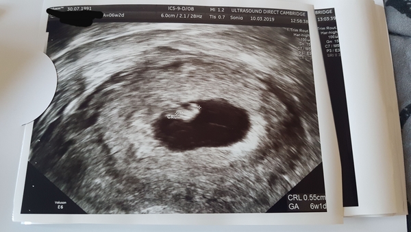 Due November 2019