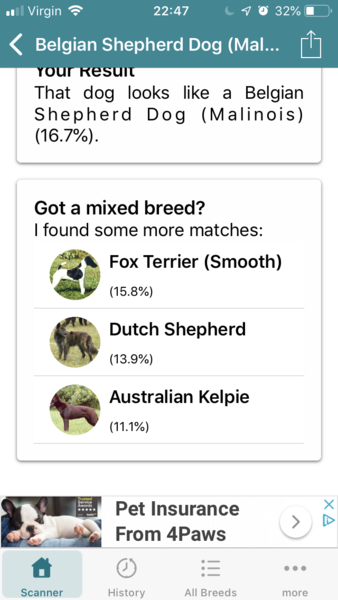 Doggie dna test