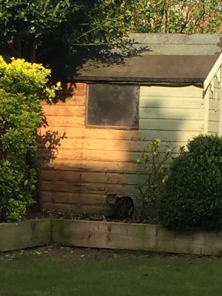 Spending sparingly in early Spring - frugal friendly folk gather round.