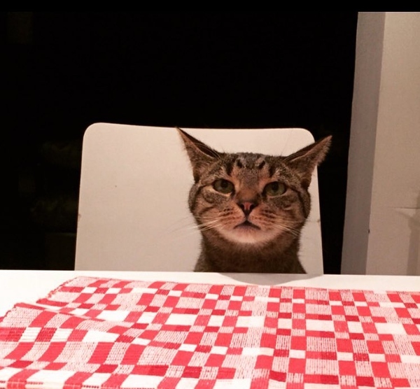 To be really creeped out by my cat?