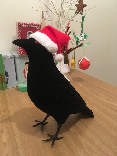 AIBU to ask if your Halloween ravens are going grey?