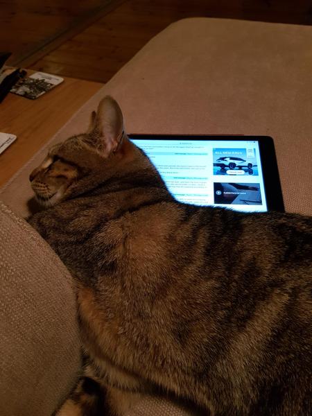 Westministenders: The DisUnited Kingdom of Remaina