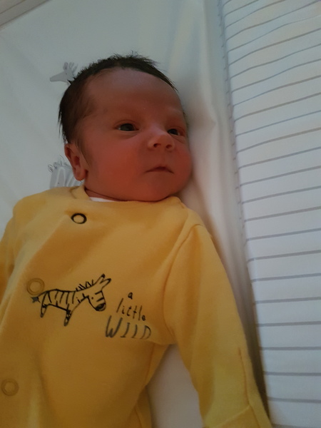 First babies due in April - thread 2!