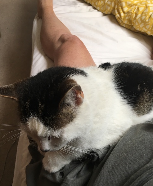 Who else has a furry nurse?