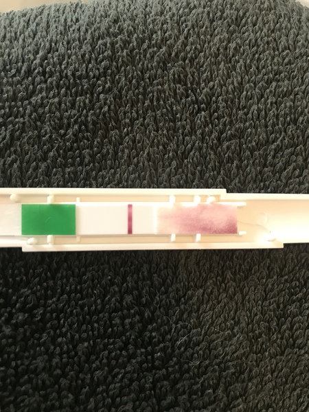 5dpo