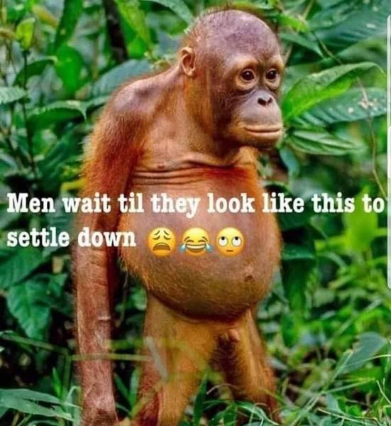 To ask at what age you think men become invisible to women