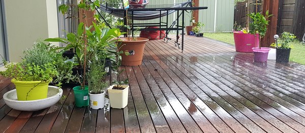 Any Witches Here? Part 7.