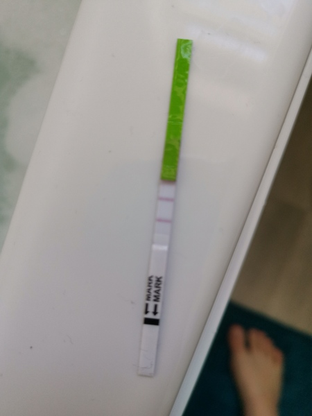Positive OPK?