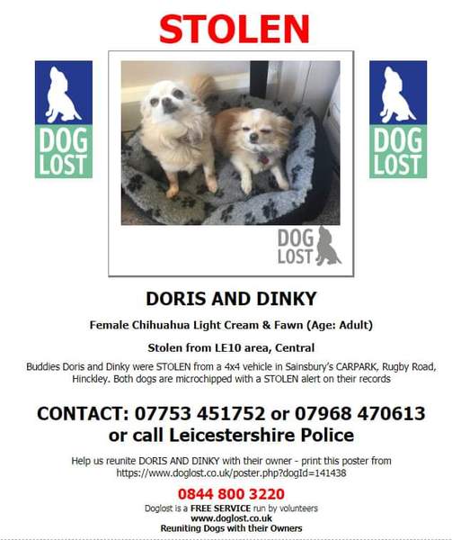 Please, please help my friend - Stolen dogs - desperate plea!!!!!!