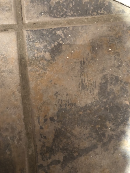Do you see faces in things?