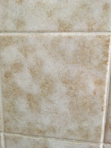 Where can I find wall tiles like these please?