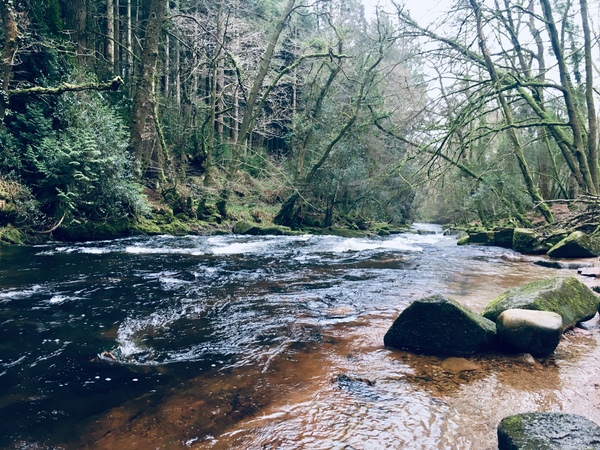 Any Witches Here? Part 7.