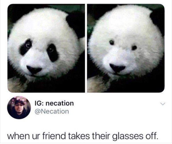 Please share your funny memes or pictures.