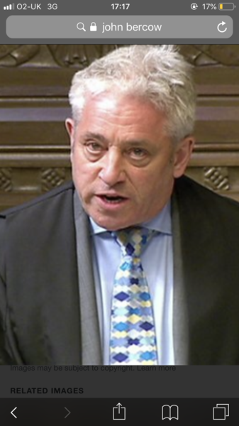 John Bercow - I would (probably)
