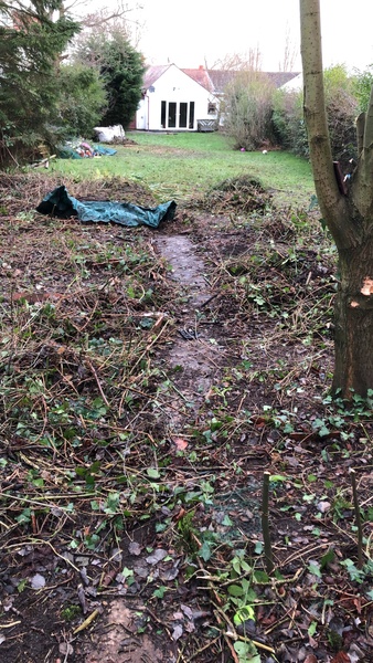 Huge garden in disaster !