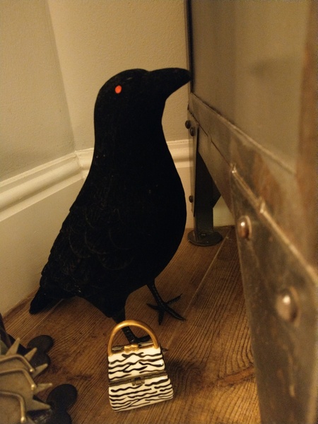 AIBU to ask if your Halloween ravens are going grey?