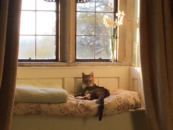 Westminstenders: Happy Brexit Day!