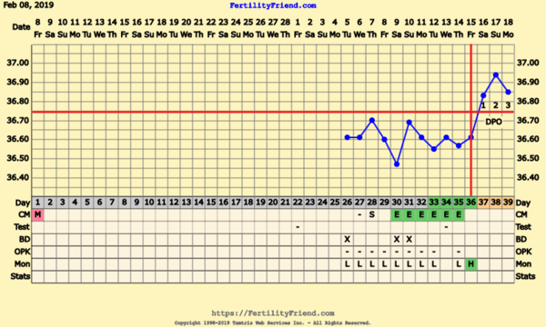First Pregnancy Missed Miscarriage